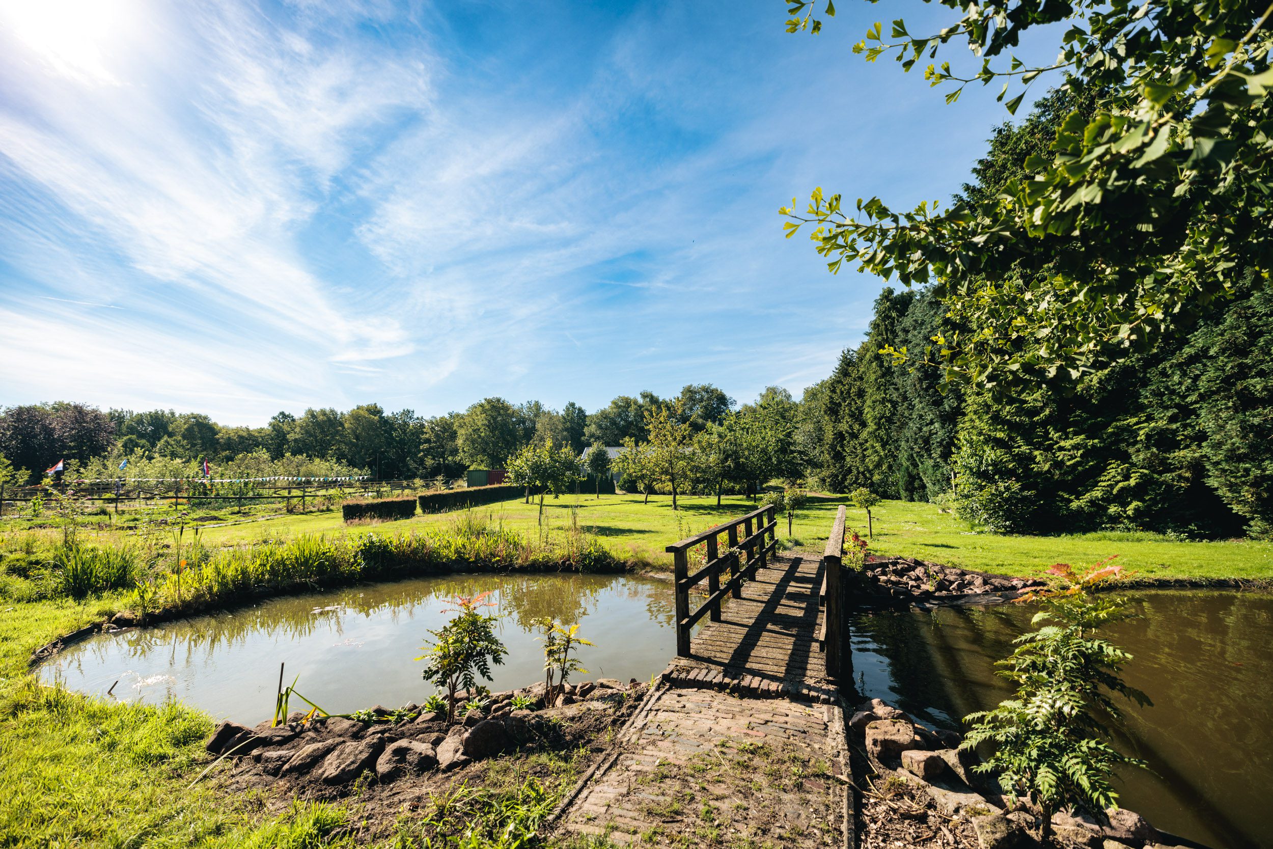 De tuin van het Werklab Westerwolde met op de voorgrond een bruggetje